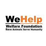 we help